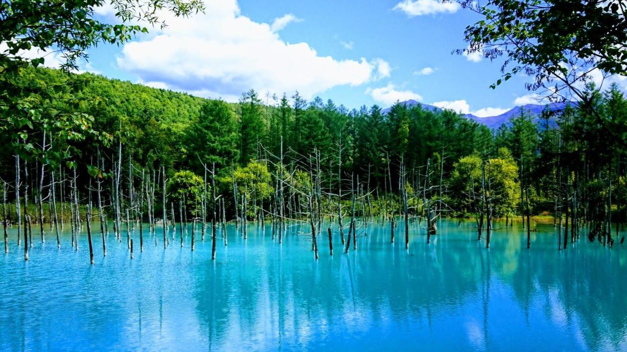 Hébergement de vacances ふらの田園コテージヌプリ *